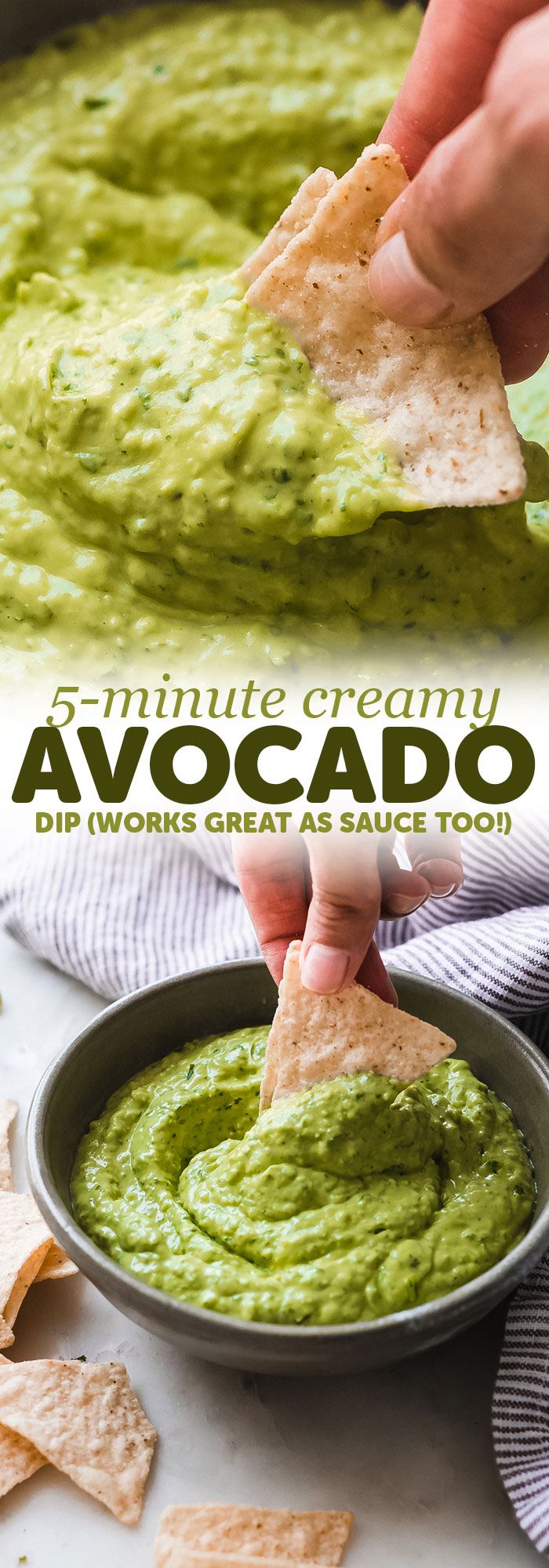 5-Minute Blender Avocado Dip - Just a handful of ingredients and a food processor is all you need! Dollop on your burrito bowls or serve with chips! #avocadodip #blenderavocadodip #guacamoledip #guacamole #cincodemayo | Littlespicejar.com