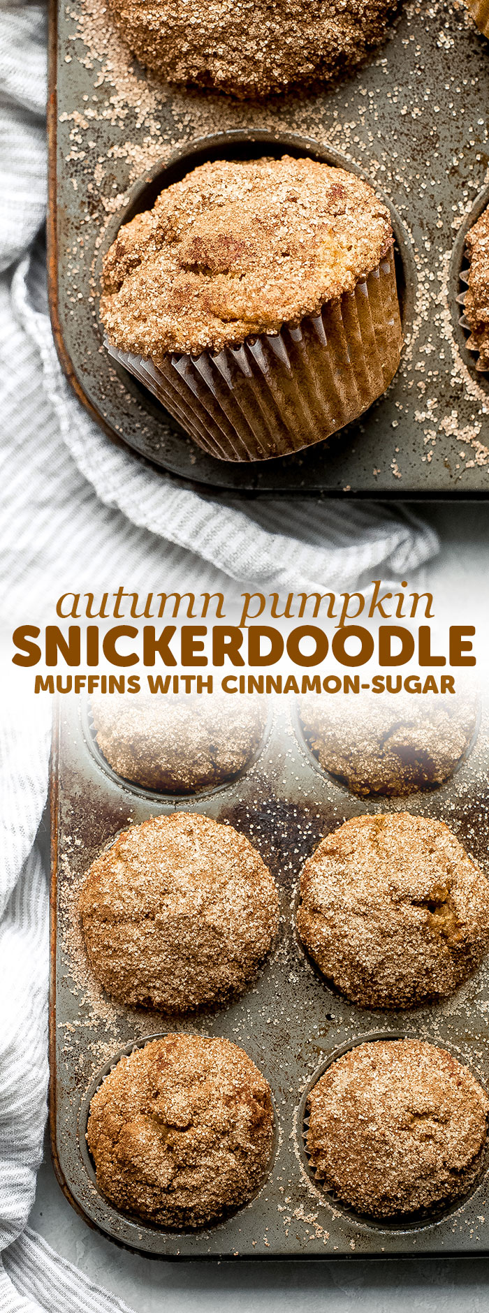 Pumpkin Snickerdoodle Muffins - everything you love about snickerdoodle cookies and pumpkin muffins smushed together into one! Tender and so delicious with a cup of coffee in the fall! #pumpkinmuffins #bestpumpkinmuffins #pumpkinrecipes #fallbakingrecipes #fallbaking #snickerdoodle | Littlespicejar.com