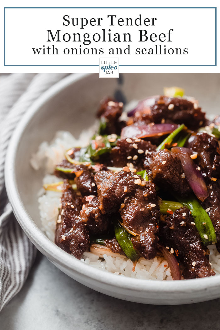 a close up of Mongolian Beef on a bed of rice