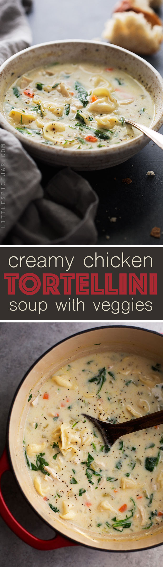 Creamy Chicken Tortellini Soup - a creamy chicken soup with tons of carrots, baby spinach, and cheesy tortellini. So perfect for fall! #chickennoodlesoup #chickensoup #chickentortellinisoup | Littlespicejar.com