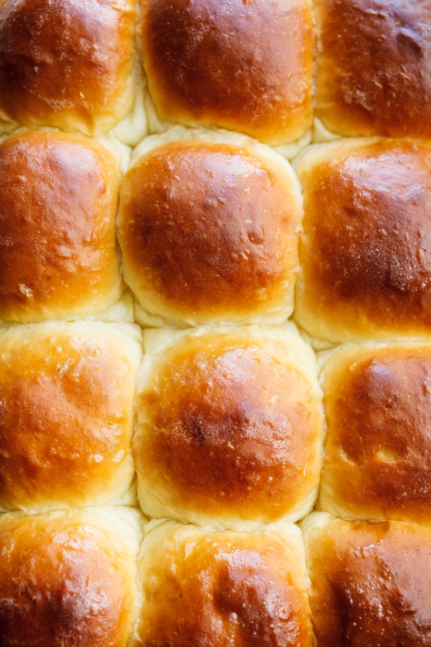 Soft and Fluffy One Hour Dinner Rolls
