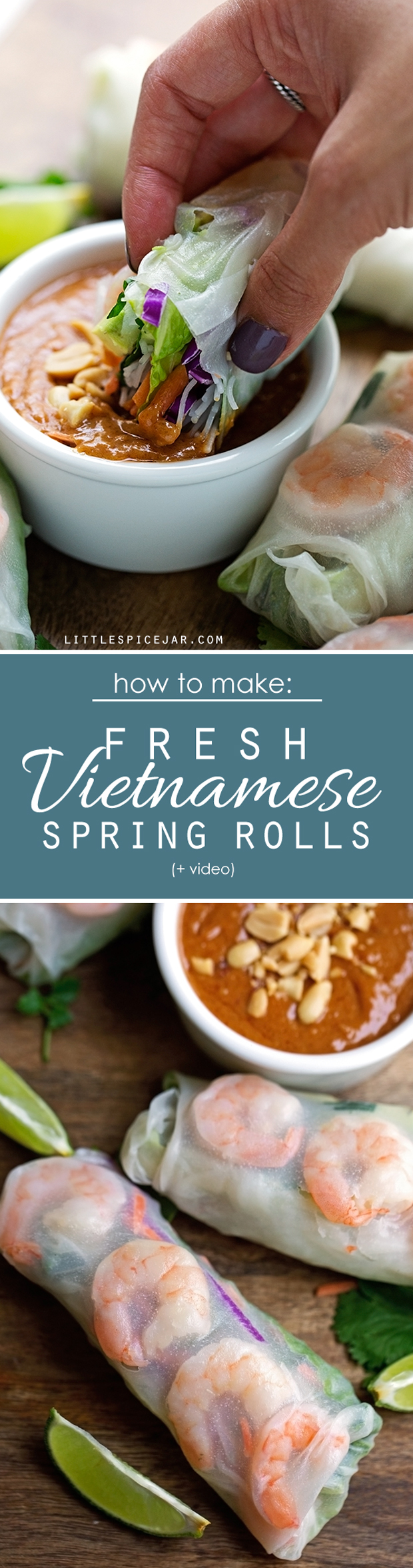Vietnamese Fresh Spring Rolls - homemade spring rolls made easy! Watch the video and learn how to make these quickly and easily at home! #springrolls #freshspringrolls #summerrolls #vietnamesespringrolls | Littlespicejar.com