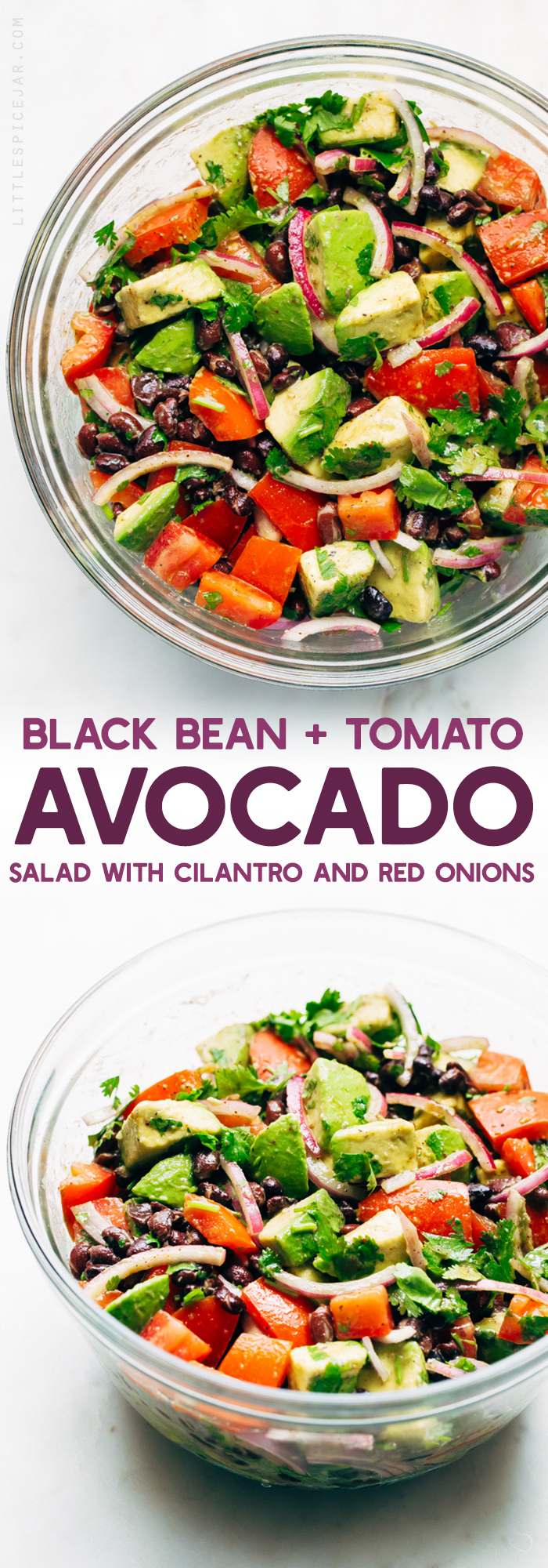 Black Bean Tomato Avocado Salad - A simple avocado salad that tastes just like guacamole! Who wouldn't love that? #avocado #avocadosalad #tomatoavocadosalad #blackbeansalad | Littlespicejar.com