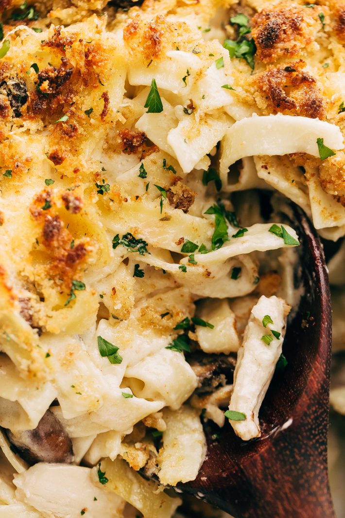 Cozy Creamy Chicken Tetrazzini - learn how to make the best chicken tetrazzini ever! A creamy white sauce with tons of shredded chicken, mushrooms, and cheese! #chickentetrazzini #turkeytetrazzini #noodlebake #casserole #easter #tetrazzini | LIttlespicejar.com