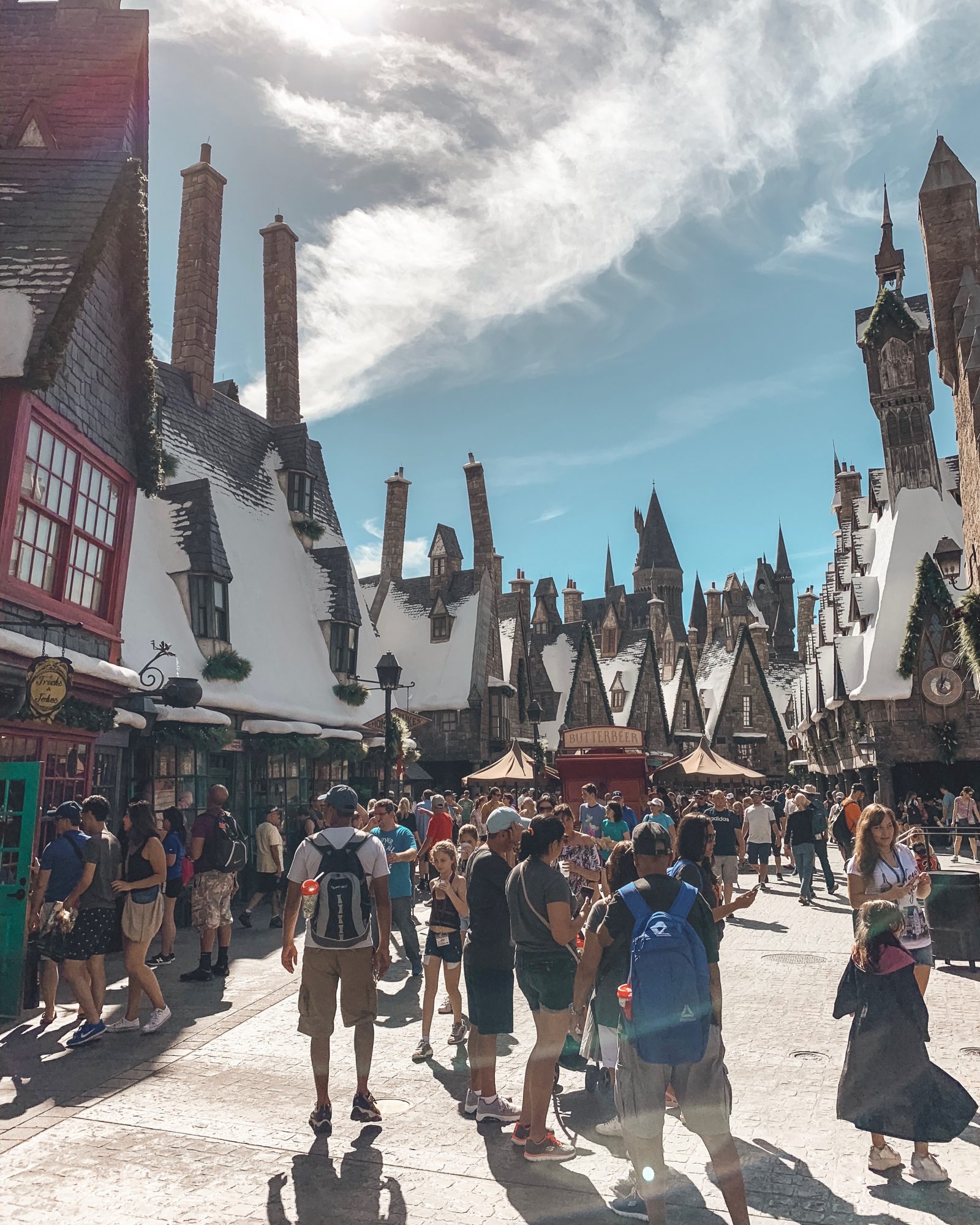 a picture of hogsmeade at The Wizarding World of Harry Potter 