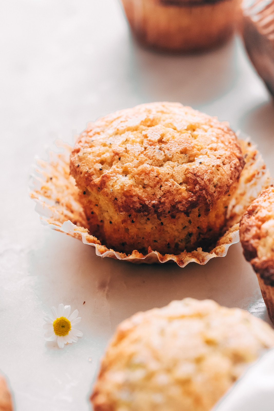 close up of one lemon zucchini muffin with crinkly sugar top