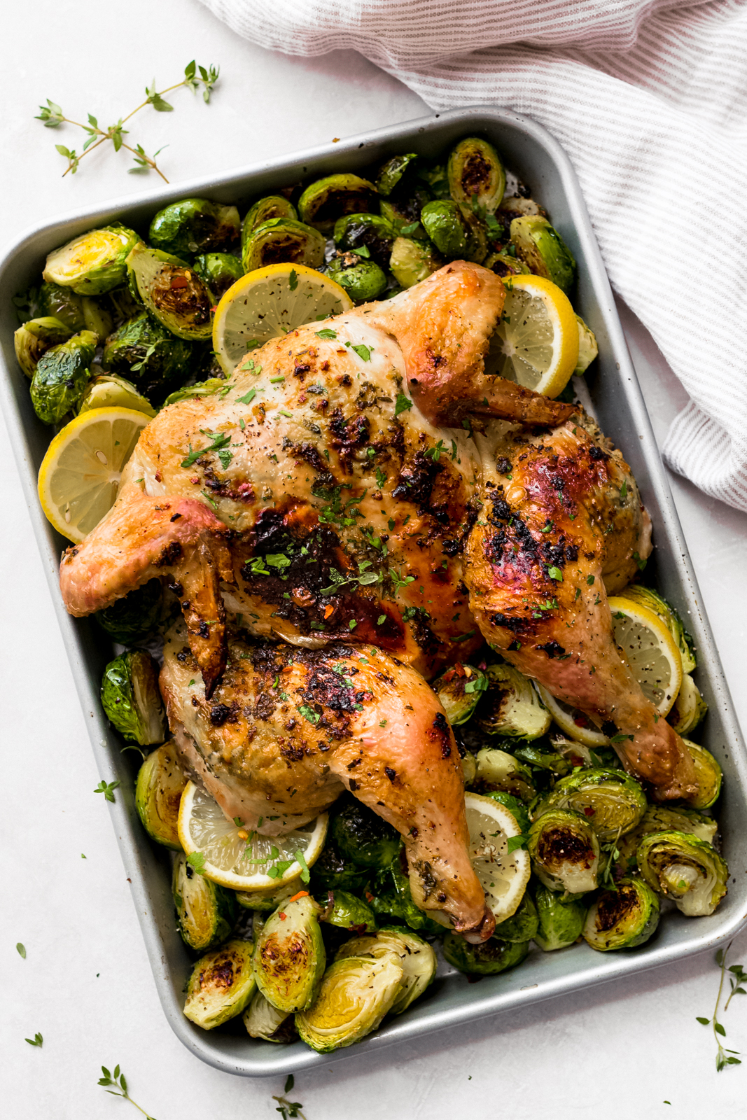 sheet pan with lemon slices, roasted sprouts, and a whole roasted chicken on top