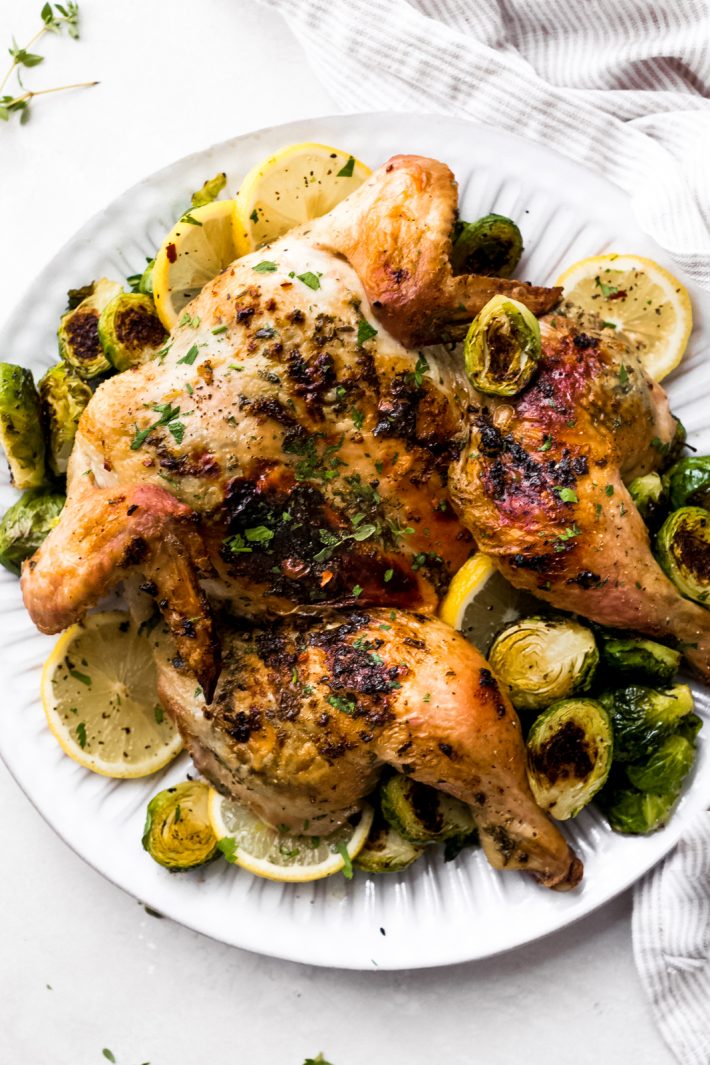 prepared spatchcock chicken on white plate surrounded by lemon slices, and roasted Brussel sprouts