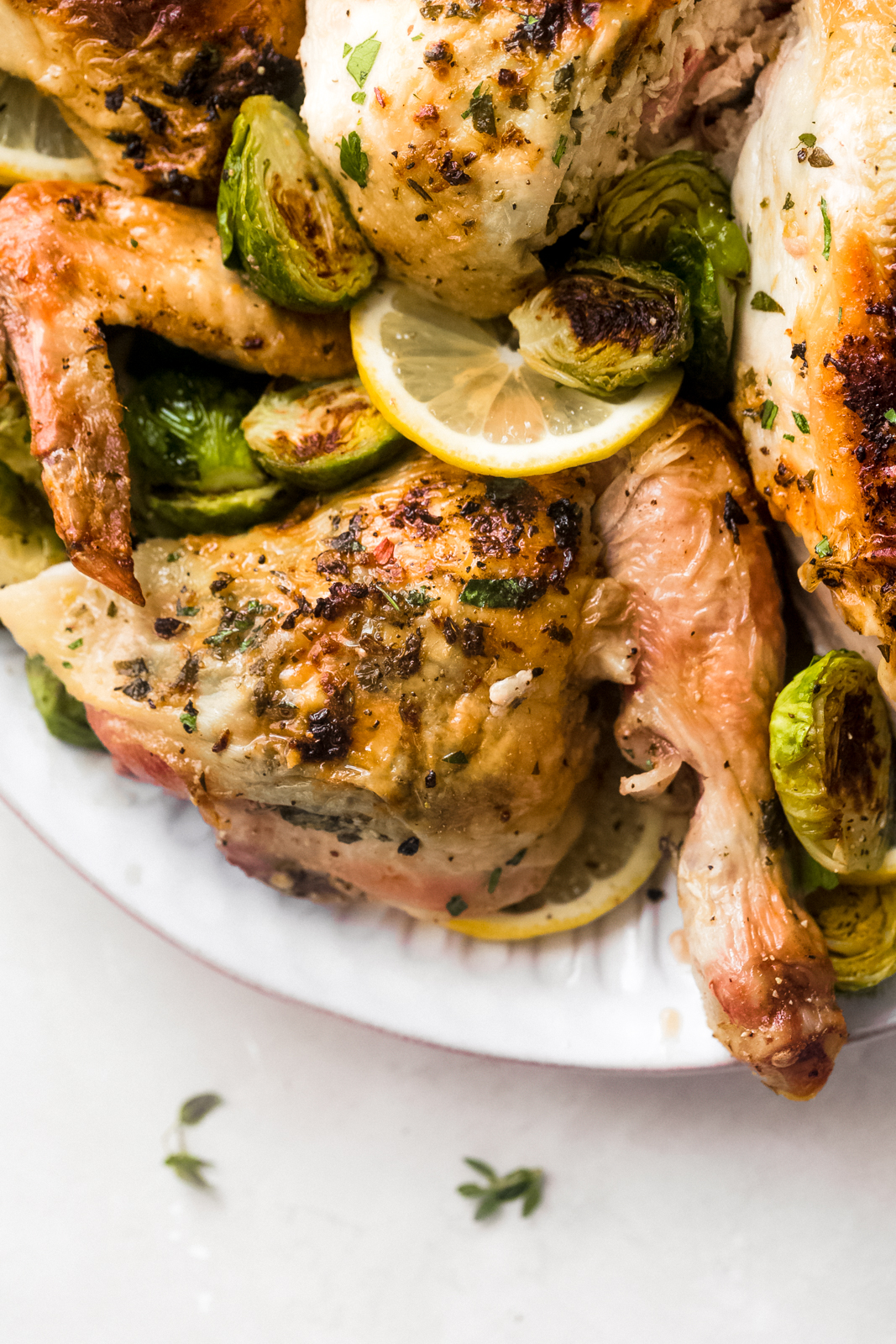 roasted chicken broken down into pieces on white plated topped with roasted Brussel sprouts and fresh lemon slices