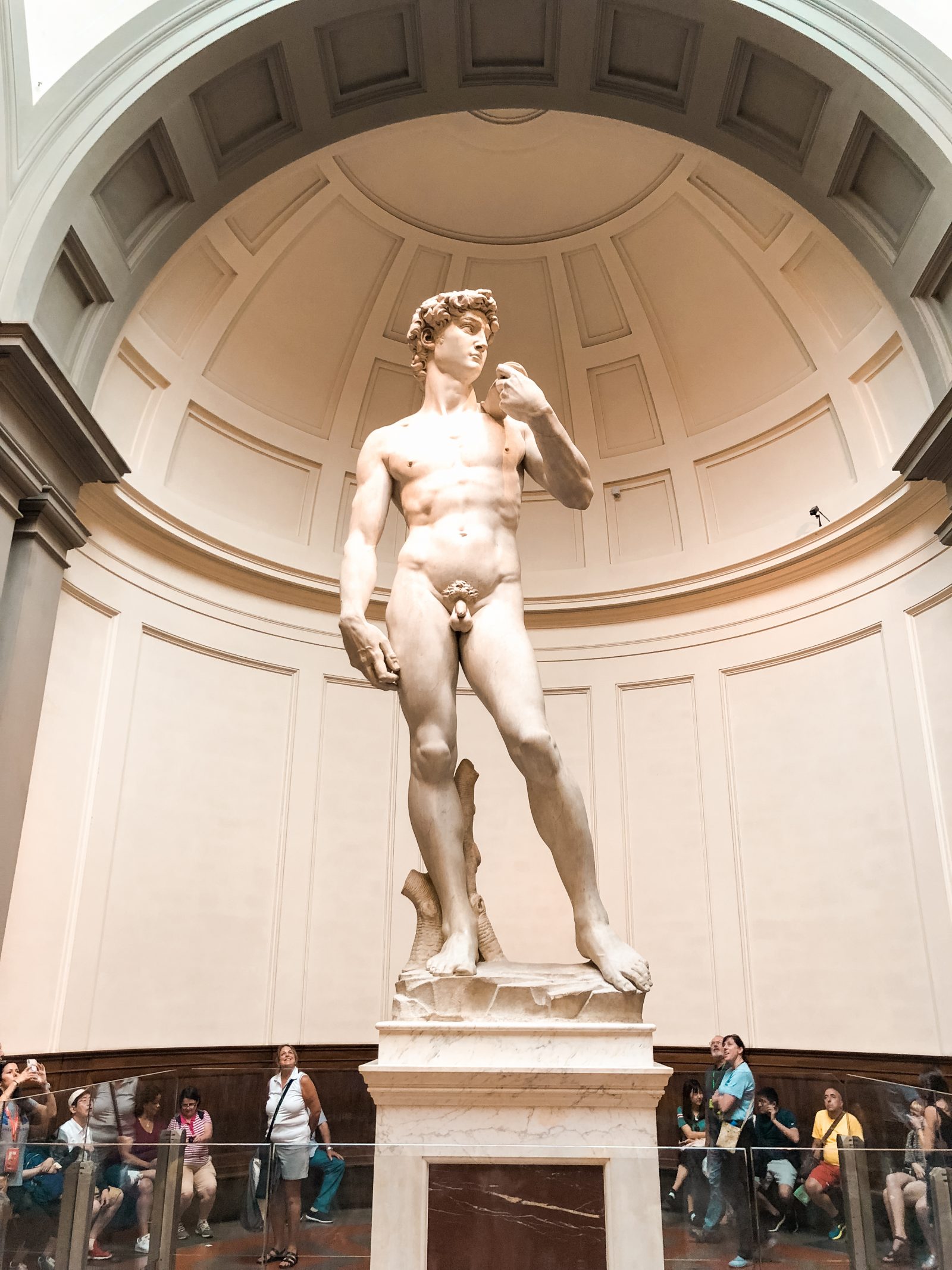 statue of David at Galleria dell' Accademia