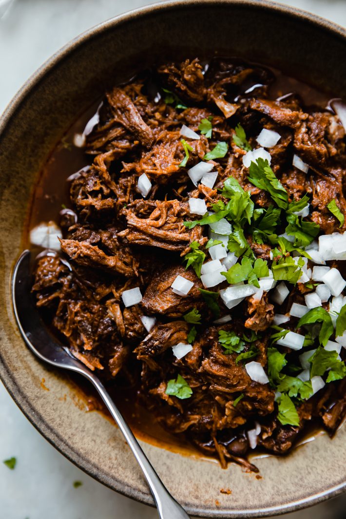shredded meat stew in bowl with onions and cilantro