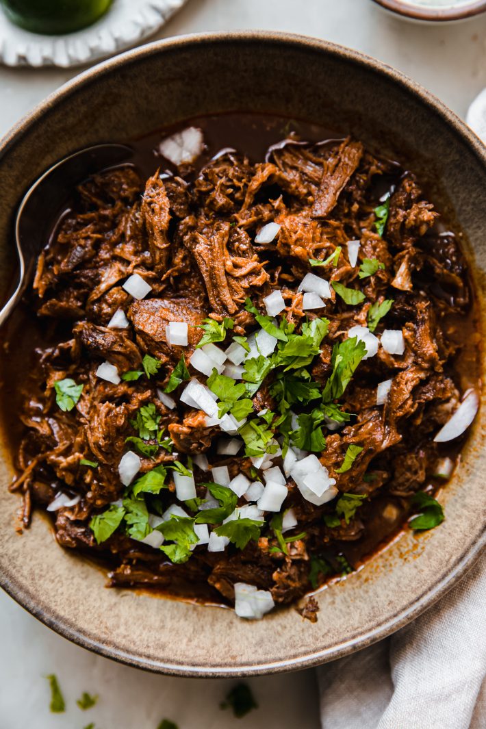 shredded beef birria in bowl with spoon topped with cilantro and onions